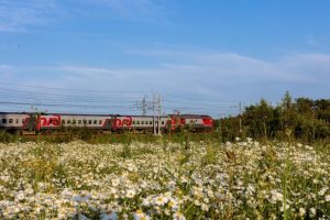 Билеты на поезд в Тамбов